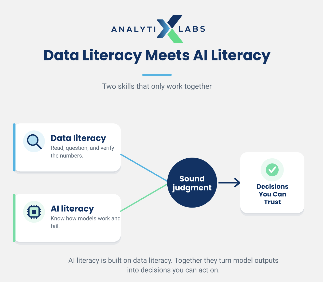 data literacy and ai literacy