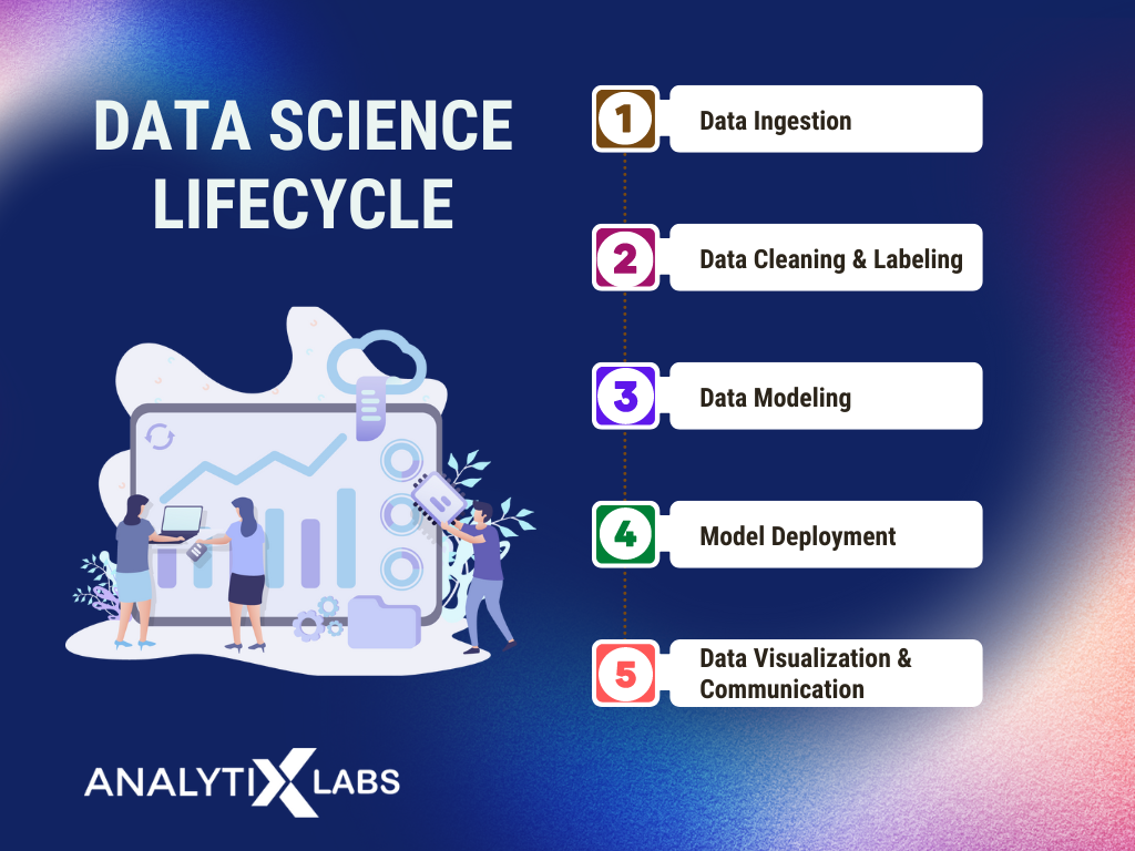 data science lifecycle