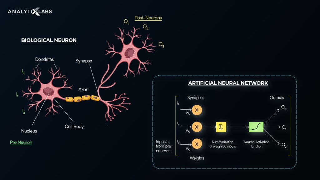 Basic Concept of Artificial Neural Networks
