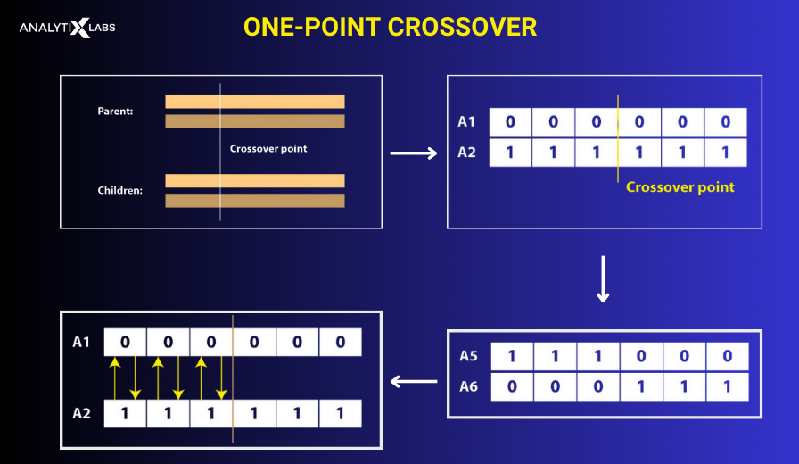 one point crossover