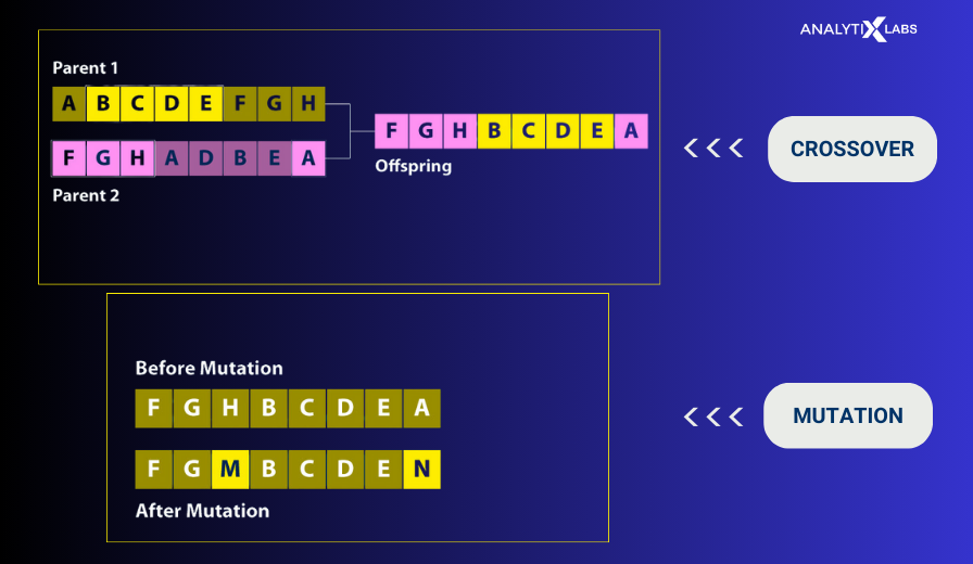 genetic algorithm key terms