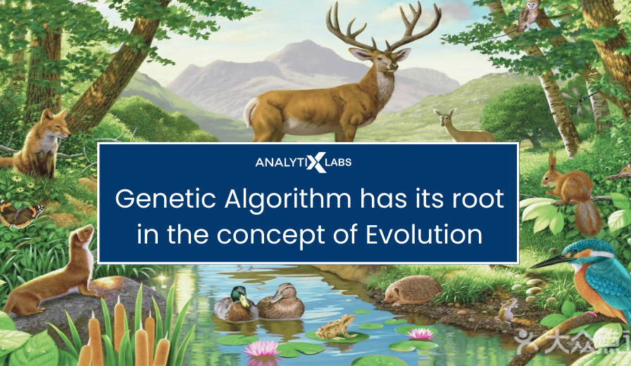 genetic evolution