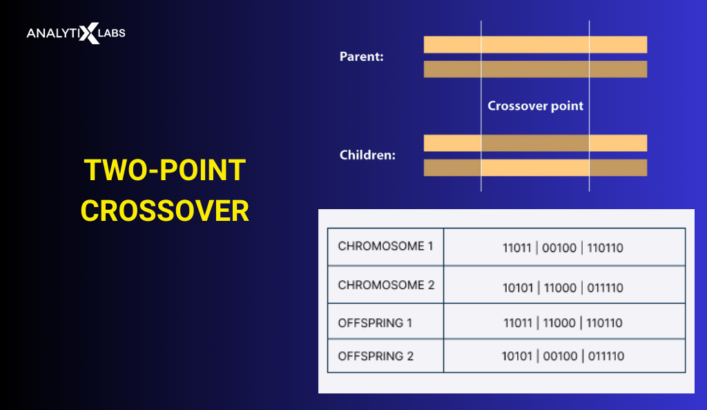 two point crossover