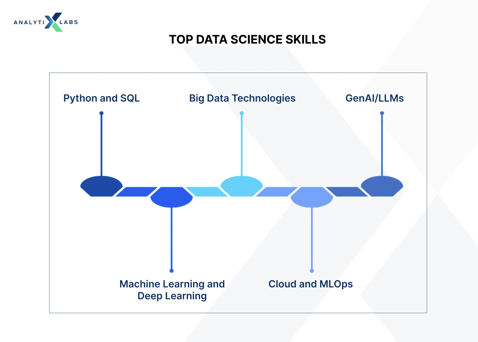 data science skills
