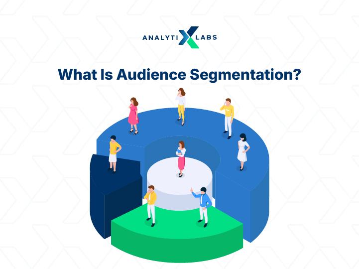audience segmentation